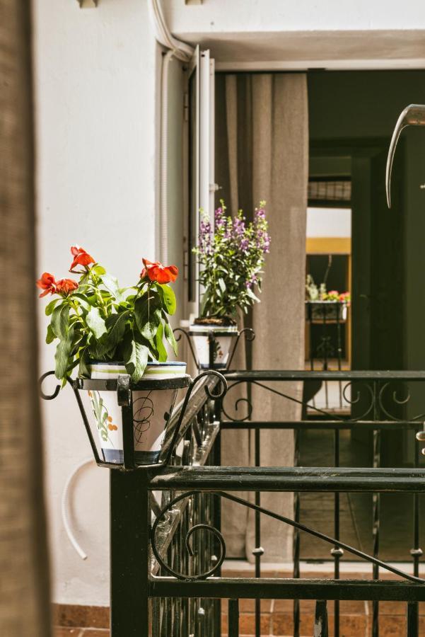 Encanto Guesthouse Canillas de Aceituno エクステリア 写真